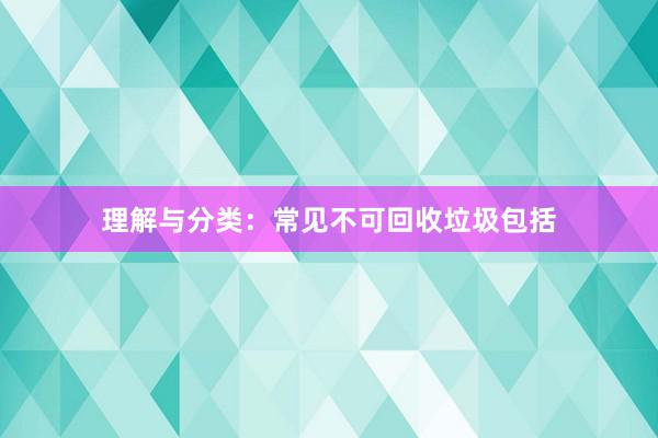 理解与分类：常见不可回收垃圾包括